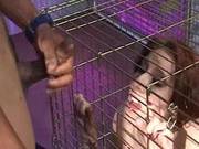 Caged Slut Sucks Multiple Cocks For Sticky Facial
