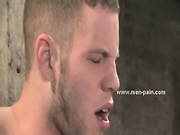 Vorascious Mistress With Curly Hair Whipping Man Slave In Femdom