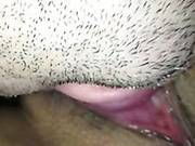 Plumpy Russian Chick Gets Her Pussy Eaten And Banged Softcore