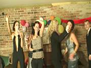 Wild Birthday Celeberation Party.