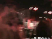 Drunk Women Party With Male Strippers And Their Cocks