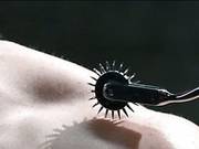 Metamorphosis: Episode 1 Cum Thieves