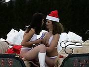 Oh How Fun It Is To Run On A Two Whore Open Sleigh/angelina, Crow Virginiee