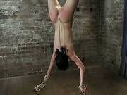 Inverted, Elbows Bound, Severely Arched Back Yl Brutal Crotch Rope, Massive Screaming Orgasms! Epic!