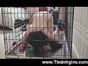 Tiedvirgins Video: Sam Bentley Dog Cage