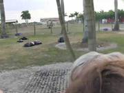 Real College Sluts Outdoor Threesome